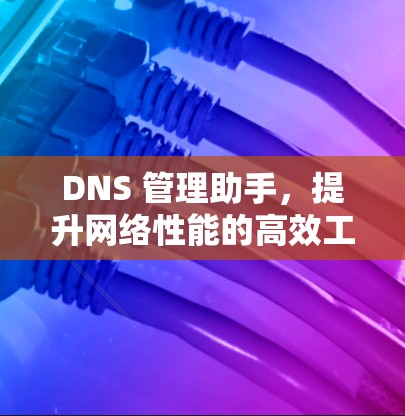 DNS 管理助手,提升网络性能的高效工具 DNS 管理助手,提升网络性能的高效工具