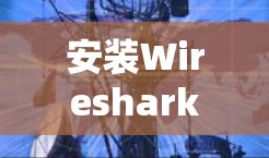 安装Wireshark是一个常见的操作，通常分为两个步骤，安装依赖包和安装软件。以下是一些常见的方法和步骤，适用于大多数用户