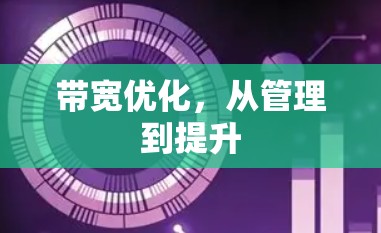 带宽优化，从管理到提升
