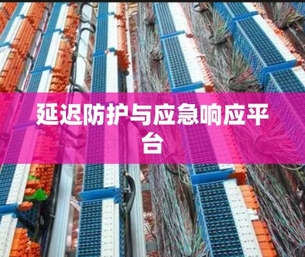 延迟防护与应急响应平台 延迟防护与应急响应平台