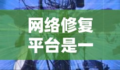 网络修复平台是一个专门用于处理网络故障和管理的综合平台，旨在帮助用户快速找到解决方案并优化网络环境。以下是该平台的详细介绍