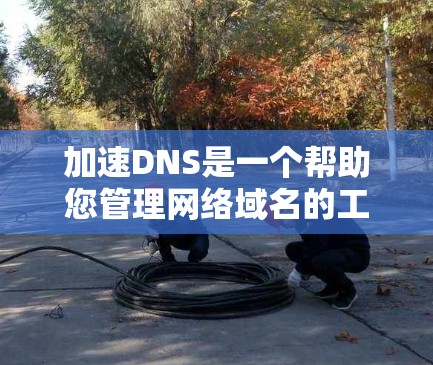 加速DNS是一个帮助您管理网络域名的工具，通过自动提供域名地址，提升访问速度。以下是关于加速DNS的详细说明