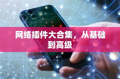 网络插件大合集,从基础到高级 网络插件大合集,从基础到高级