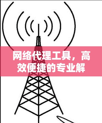 网络代理工具，高效便捷的专业解决方案