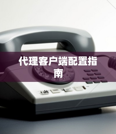 代理客户端配置指南 代理客户端配置指南