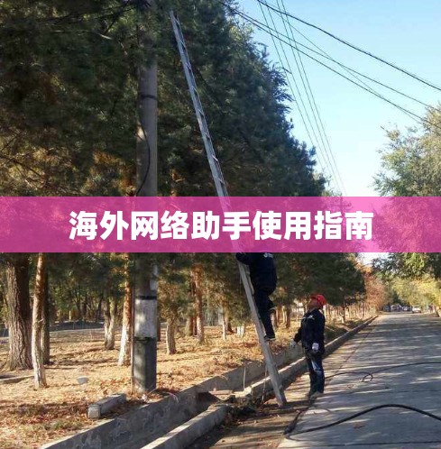 海外网络助手使用指南 海外网络助手使用指南