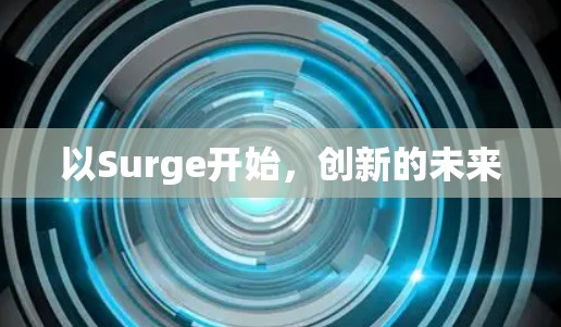 以Surge开始,创新的未来 以Surge开始,创新的未来
