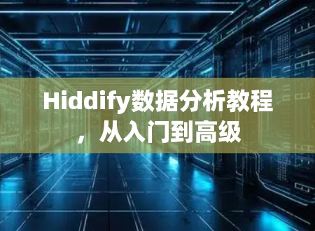 Hiddify数据分析教程，从入门到高级