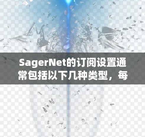 SagerNet的订阅设置通常包括以下几种类型，每个订阅类型有不同的功能和配置要求