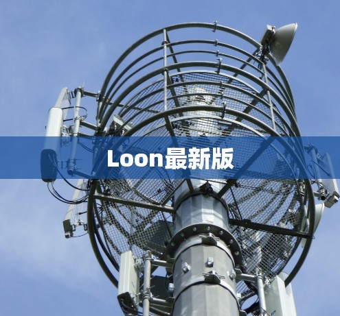 Loon最新版 Loon最新版