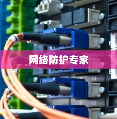 网络防护专家 网络防护专家