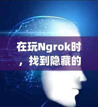 在玩Ngrok时，找到隐藏的关卡和资源需要耐心和细致。以下是系统化的步骤指南