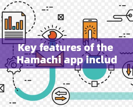 Key features of the Hamachi app include: Key features of the Hamachi app include: