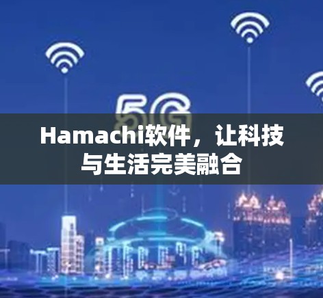 Hamachi软件，让科技与生活完美融合