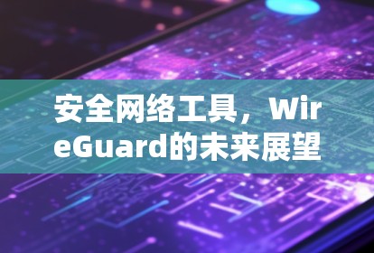 安全网络工具，WireGuard的未来展望