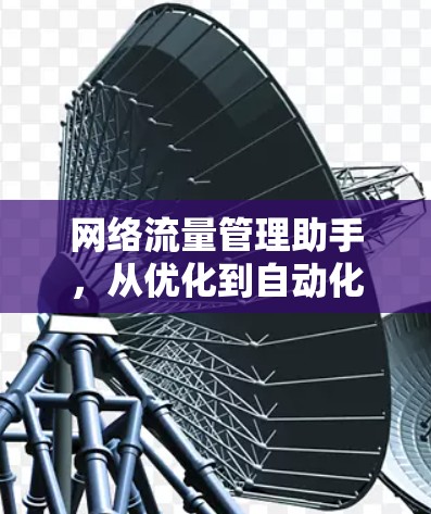 网络流量管理助手，从优化到自动化