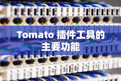 Tomato 插件工具的主要功能