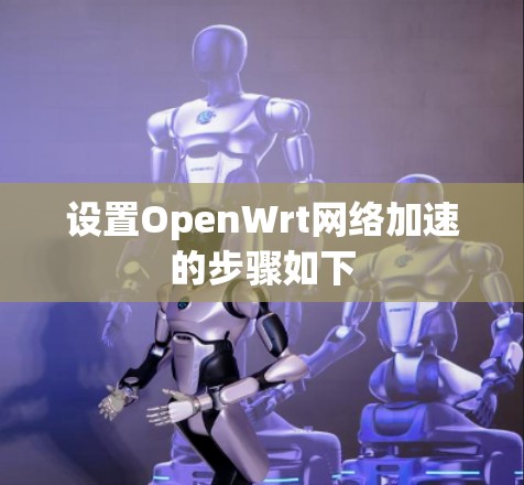 设置OpenWrt网络加速的步骤如下