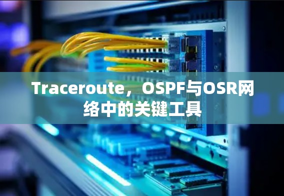 Traceroute,OSPF与OSR网络中的关键工具 Traceroute,OSPF与OSR网络中的关键工具