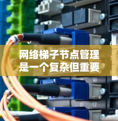 网络梯子节点管理是一个复杂但重要的过程,涉及多个步骤和工具的使用。以下是对网络梯子节点管理的详细总结 网络梯子节点管理是一个复杂但重要的过程,涉及多个步骤和工具的使用。以下是对网络梯子节点管理的详细总结