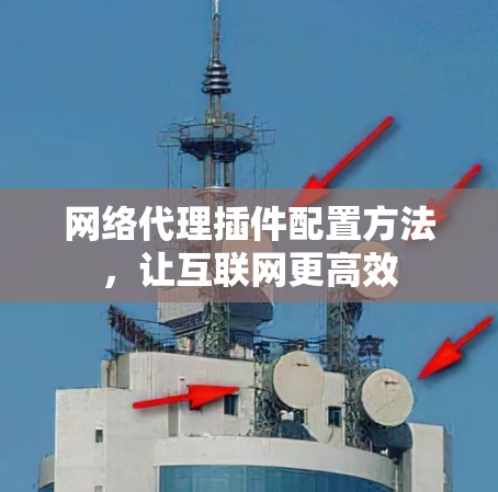 网络代理插件配置方法,让互联网更高效 网络代理插件配置方法,让互联网更高效
