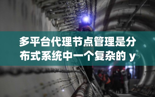 多平台代理节点管理是分布式系统中一个复杂的 yet 高效的解决方案,它允许在支持多种操作系统或虚拟化环境的平台上运行应用。以下是对多平台代理节点管理的详细总结 多平台代理节点管理是分布式系统中一个复杂的 yet 高效的解决方案,它允许在支持多种操作系统或虚拟化环境的平台上运行应用。以下是对多平台代理节点管理的详细总结