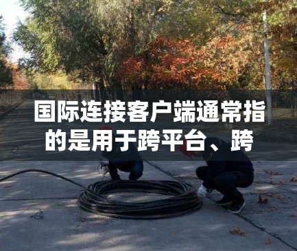 国际连接客户端通常指的是用于跨平台、跨设备之间的连接工具或应用。这些客户端能够帮助用户在不同设备之间进行信息交换、文件传输、游戏连接等操作。以下是一些常见的国际连接客户端 国际连接客户端通常指的是用于跨平台、跨设备之间的连接工具或应用。这些客户端能够帮助用户在不同设备之间进行信息交换、文件传输、游戏连接等操作。以下是一些常见的国际连接客户端