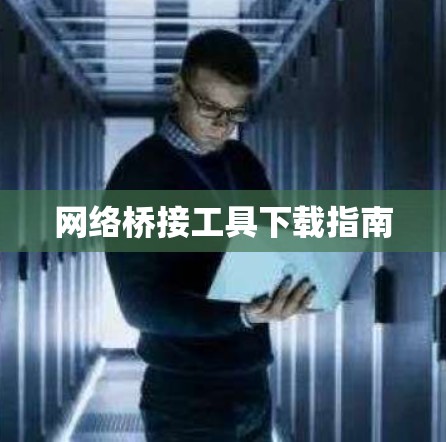 网络桥接工具下载指南