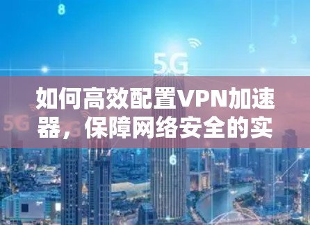 如何高效配置VPN加速器，保障网络安全的实用指南