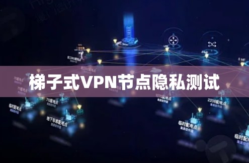 梯子式VPN节点隐私测试 梯子式VPN节点隐私测试