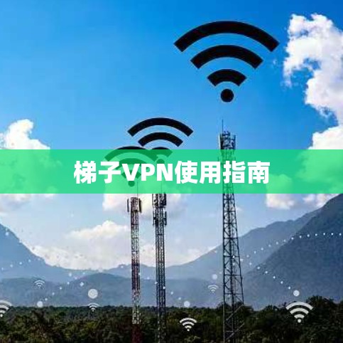 梯子VPN使用指南 梯子VPN使用指南