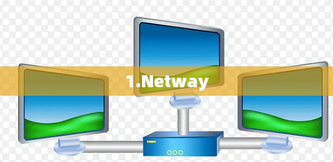 1.Netway 1.Netway