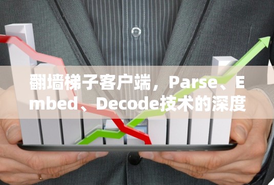 翻墙梯子客户端,Parse、Embed、Decode技术的深度探索与创新 翻墙梯子客户端,Parse、Embed、Decode技术的深度探索与创新