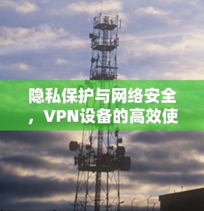 隐私保护与网络安全，VPN设备的高效使用之道