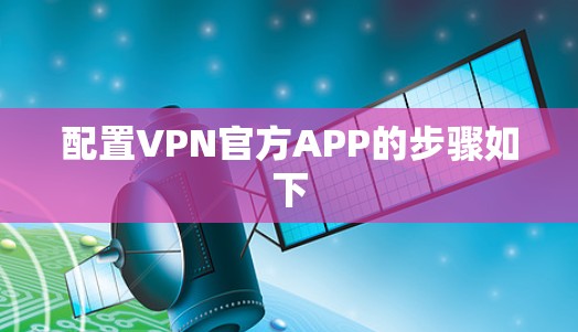 配置VPN官方APP的步骤如下 配置VPN官方APP的步骤如下