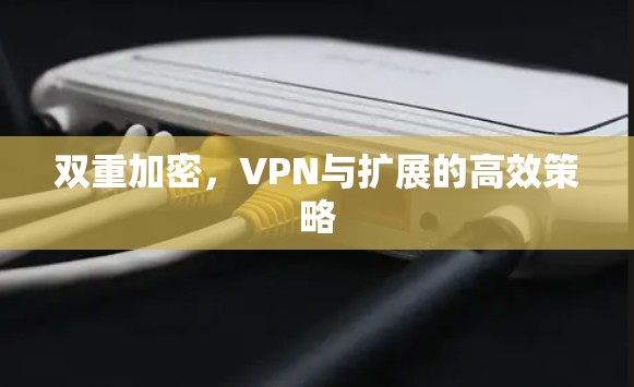 双重加密，VPN与扩展的高效策略