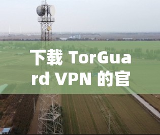 下载 TorGuard VPN 的官方软件