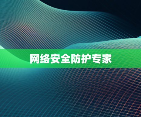网络安全防护专家