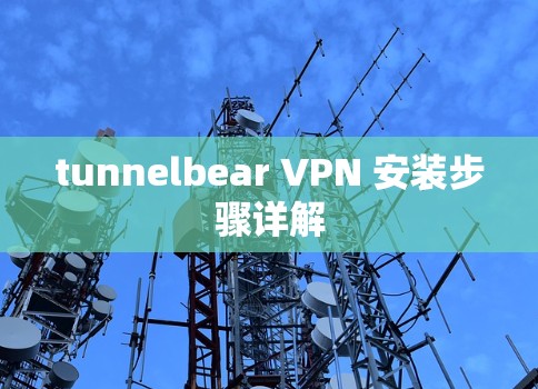 tunnelbear VPN 安装步骤详解 tunnelbear VPN 安装步骤详解