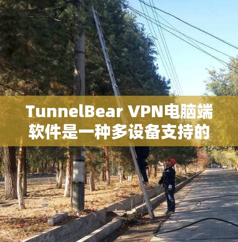TunnelBear VPN电脑端软件是一种多设备支持的端到端加密VPN解决方案,旨在为用户提供高效、安全的网络连接。以下是详细介绍 TunnelBear VPN电脑端软件是一种多设备支持的端到端加密VPN解决方案,旨在为用户提供高效、安全的网络连接。以下是详细介绍