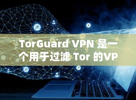 TorGuard VPN 是一个用于过滤 Tor 的VPN,广泛应用于企业网络以减少 Tor 风险。以下是对 TorGuard VPN 网络检测的一些关键步骤和建议 TorGuard VPN 是一个用于过滤 Tor 的VPN,广泛应用于企业网络以减少 Tor 风险。以下是对 TorGuard VPN 网络检测的一些关键步骤和建议