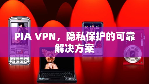 PIA VPN,隐私保护的可靠解决方案 PIA VPN,隐私保护的可靠解决方案