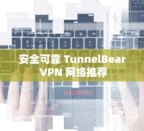安全可靠 TunnelBear VPN 网络推荐
