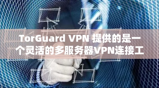 TorGuard VPN 提供的是一个灵活的多服务器VPN连接工具,用户可以根据需要选择连接的服务器数量和类型。以下是推荐的 TorGuard VPN 安全线路和配置建议 TorGuard VPN 提供的是一个灵活的多服务器VPN连接工具,用户可以根据需要选择连接的服务器数量和类型。以下是推荐的 TorGuard VPN 安全线路和配置建议