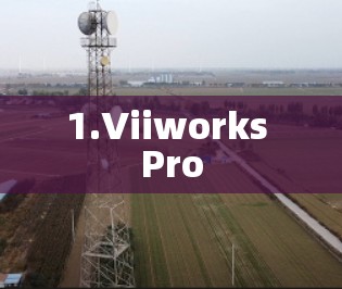 1.Viiworks Pro