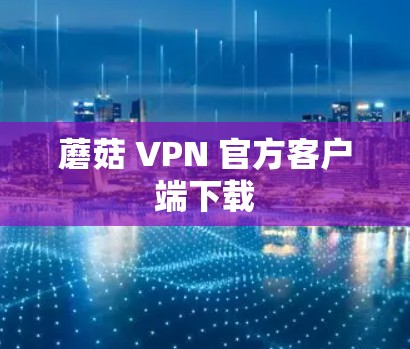 蘑菇 VPN 官方客户端下载 蘑菇 VPN 官方客户端下载