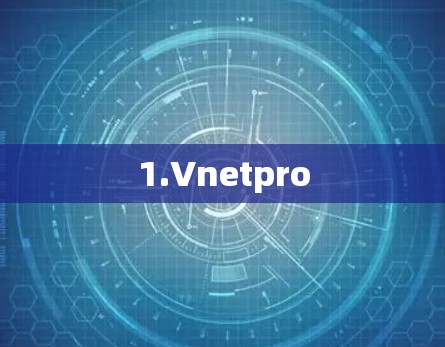 1.Vnetpro 1.Vnetpro
