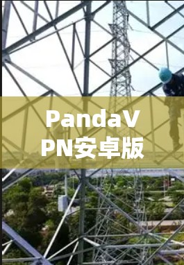 PandaVPN安卓版下载，安全可靠，轻松解决 VPN 疑难
