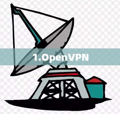 1.OpenVPN 1.OpenVPN