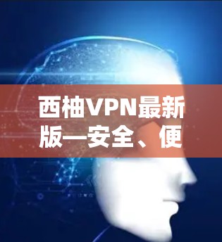 西柚VPN最新版—安全、便捷、放心 西柚VPN最新版—安全、便捷、放心